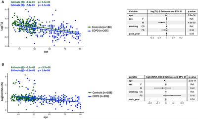 Telomere Length but Not Mitochondrial DNA Copy Number Is Altered in Both Young and Old COPD